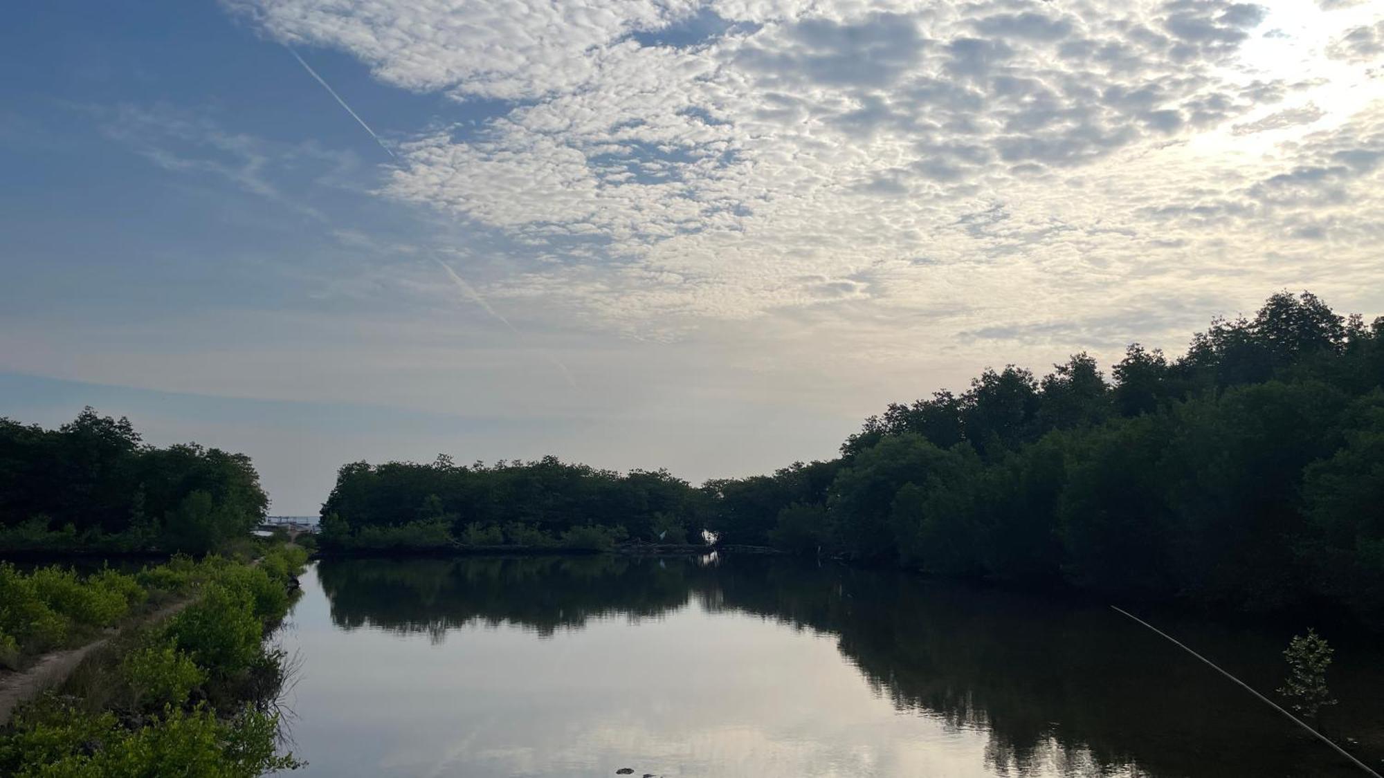 Mangrove Inn Karimunjawa Εξωτερικό φωτογραφία