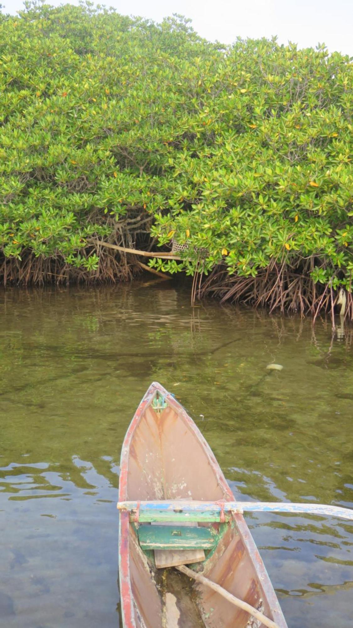 Mangrove Inn Karimunjawa Εξωτερικό φωτογραφία