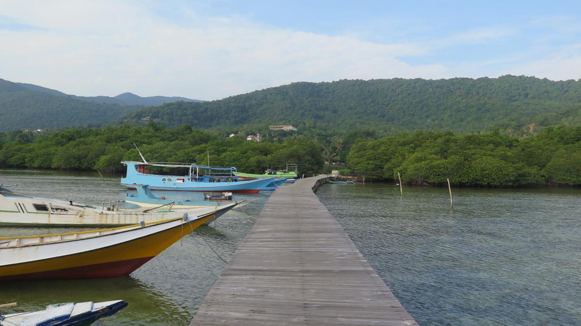 Mangrove Inn Karimunjawa Εξωτερικό φωτογραφία