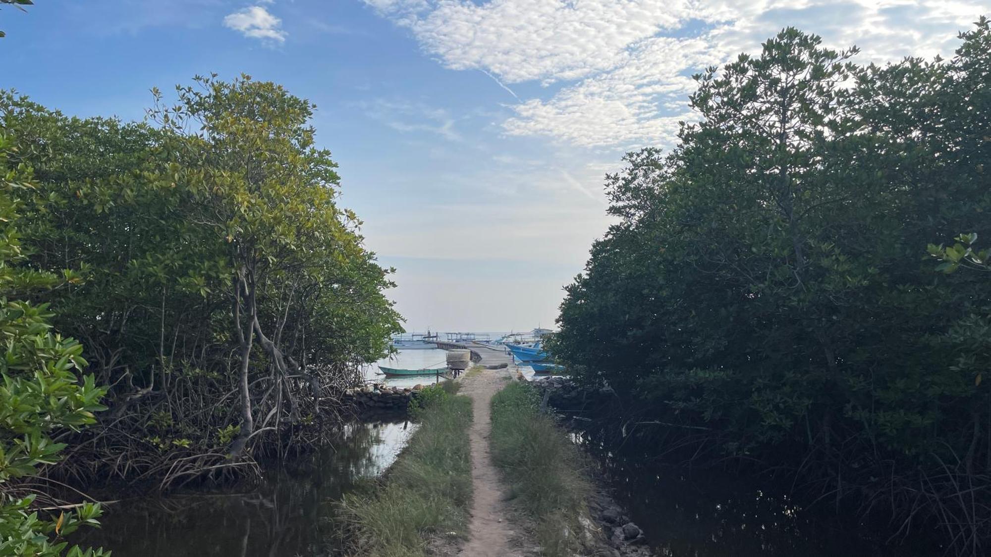 Mangrove Inn Karimunjawa Εξωτερικό φωτογραφία
