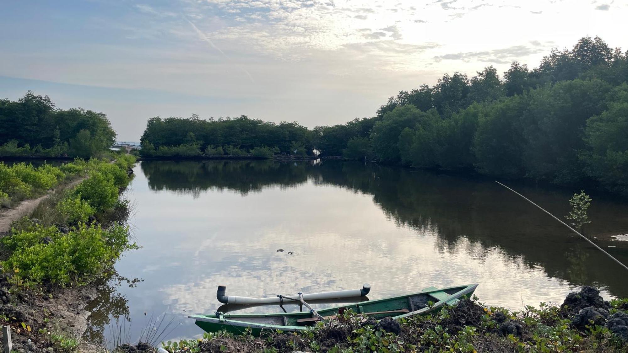 Mangrove Inn Karimunjawa Εξωτερικό φωτογραφία