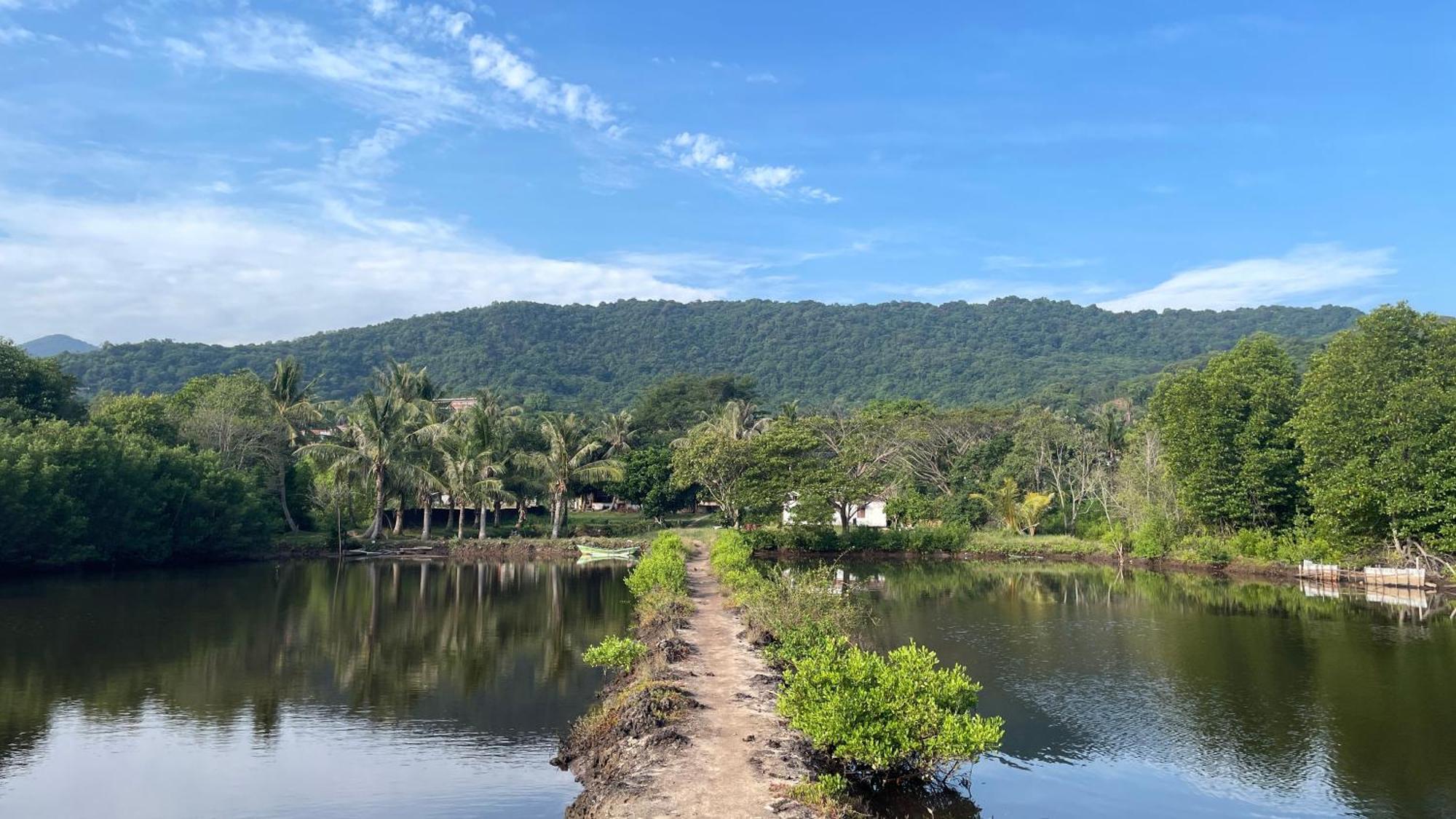 Mangrove Inn Karimunjawa Εξωτερικό φωτογραφία