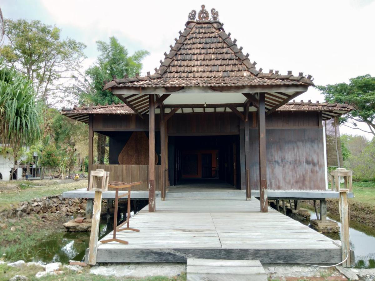 Mangrove Inn Karimunjawa Εξωτερικό φωτογραφία