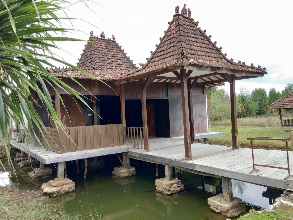 Mangrove Inn Karimunjawa Εξωτερικό φωτογραφία